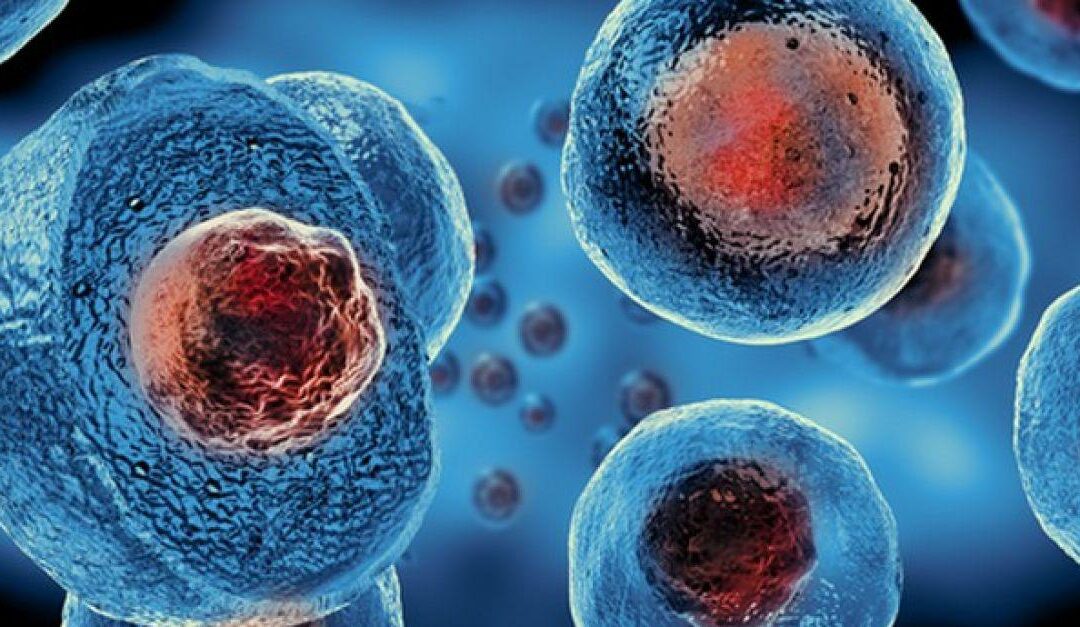 Η σωστή αντικαρκινική διατροφή!