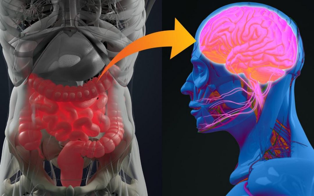 Τελικά το Parkinson περνάει… από το έντερο