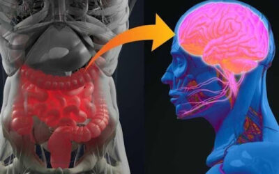 Εντερικό μικροβίωμα και ψυχική υγεία